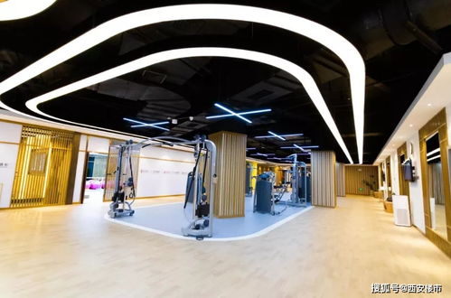 告别价格战，旅游市场迎来产品力与服务体验的竞争新阶段